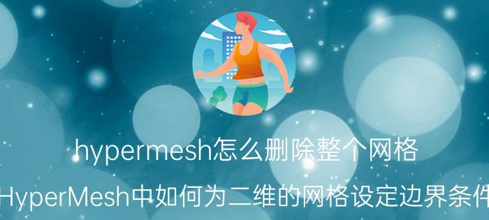 hypermesh怎么删除整个网格 HyperMesh中如何为二维的网格设定边界条件？